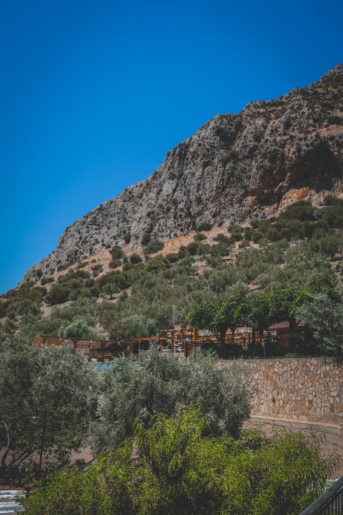 Natureland Efes Pension Selçuk Kültér fotó