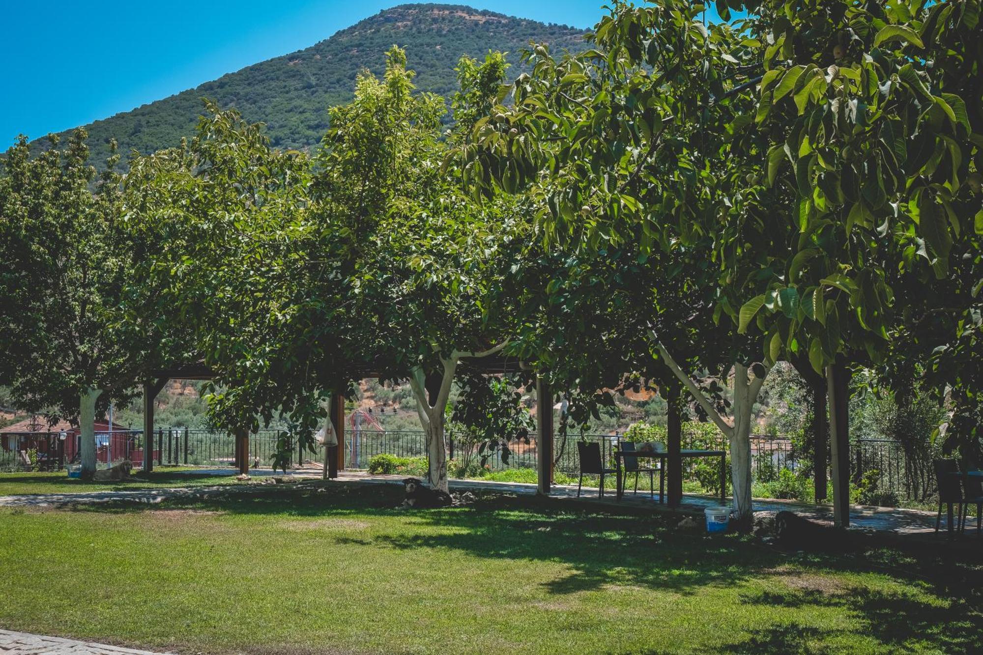 Natureland Efes Pension Selçuk Kültér fotó