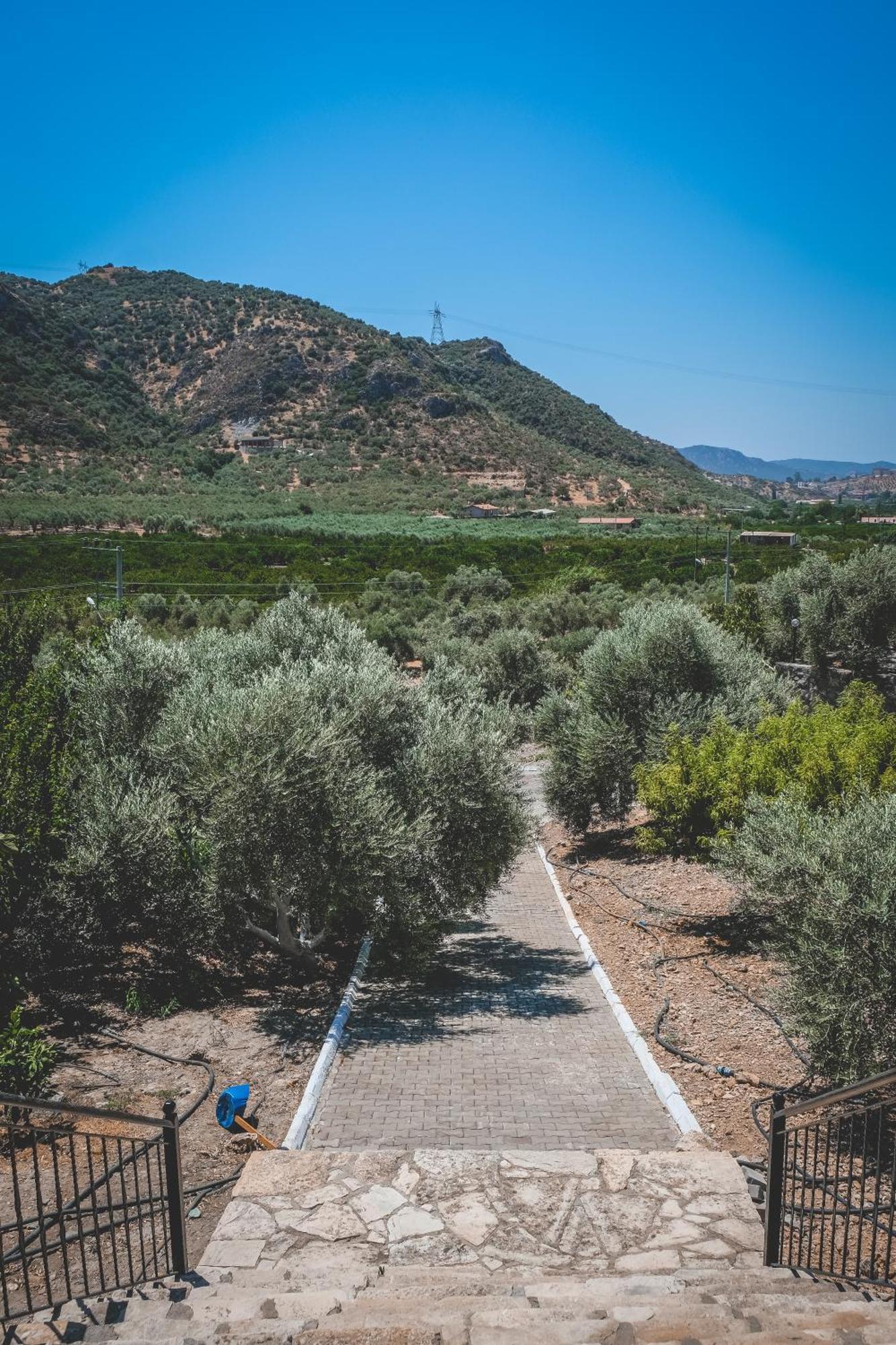 Natureland Efes Pension Selçuk Kültér fotó