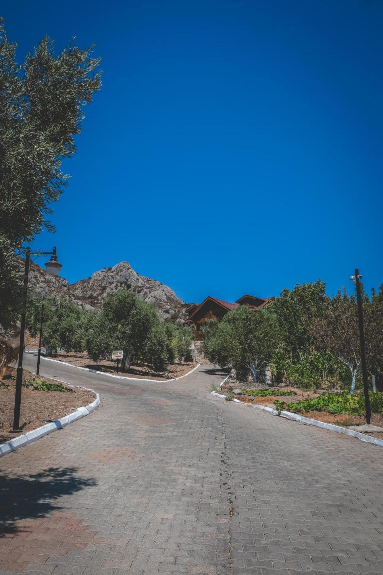 Natureland Efes Pension Selçuk Kültér fotó